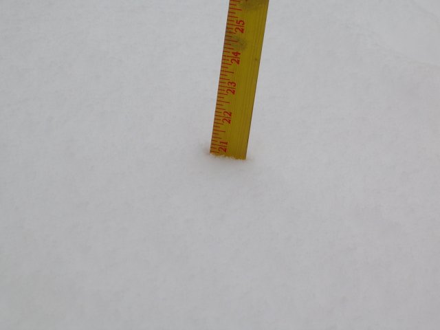 more snow damage pics 001